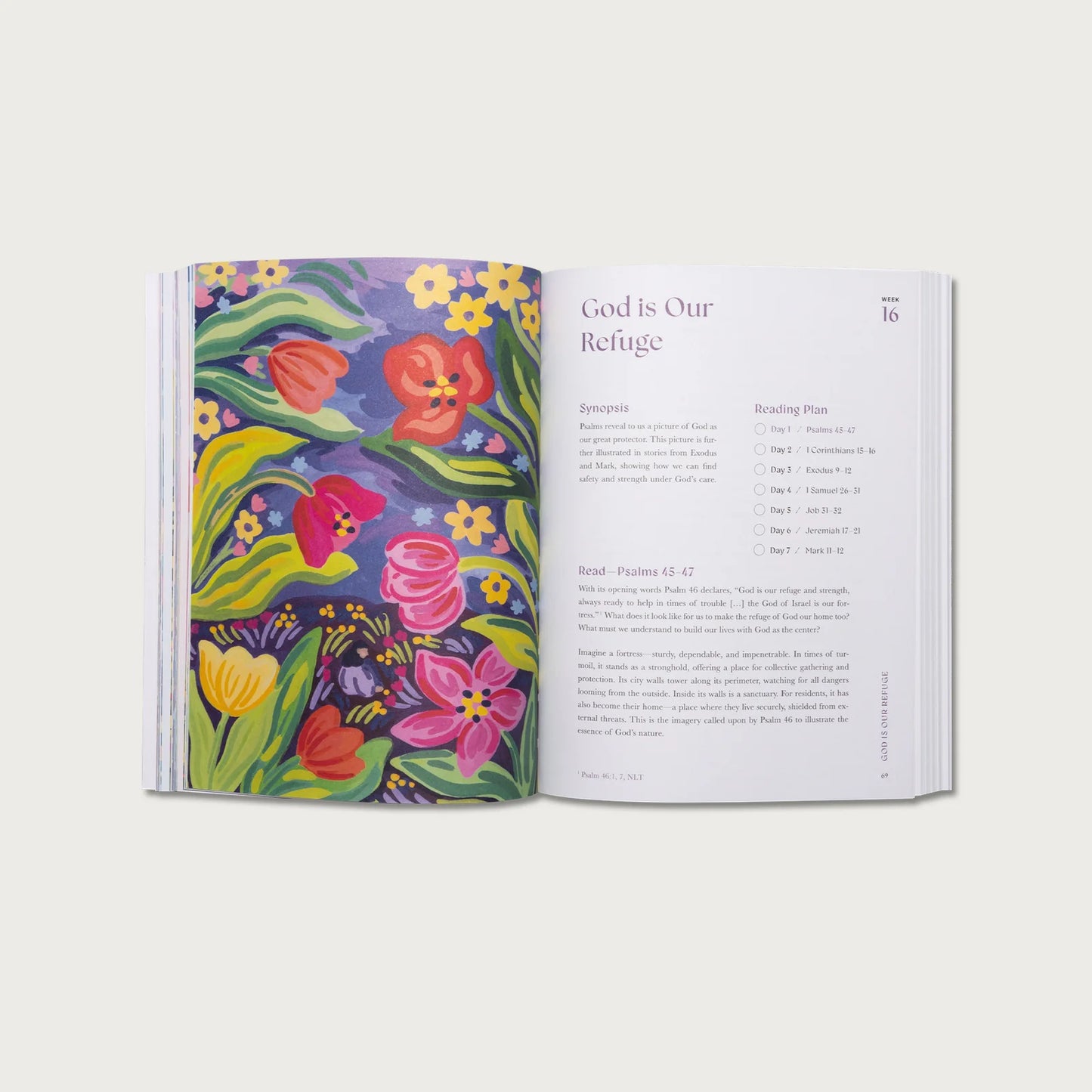 The Bible in a Year: A 52-Week Journey Back to God